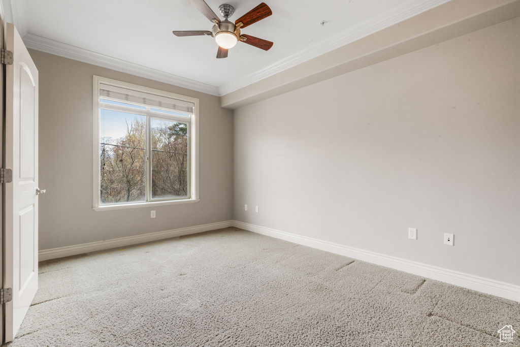 Carpeted spare room featuring ornamental molding and ceiling fan