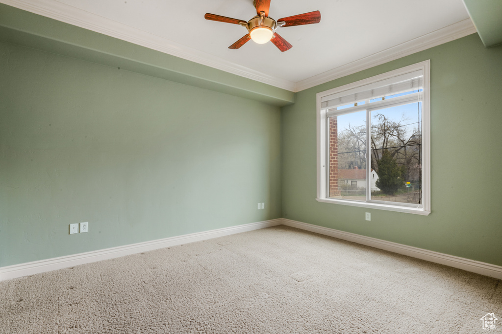 Spare room featuring ornamental molding, ceiling fan, and light colored carpet