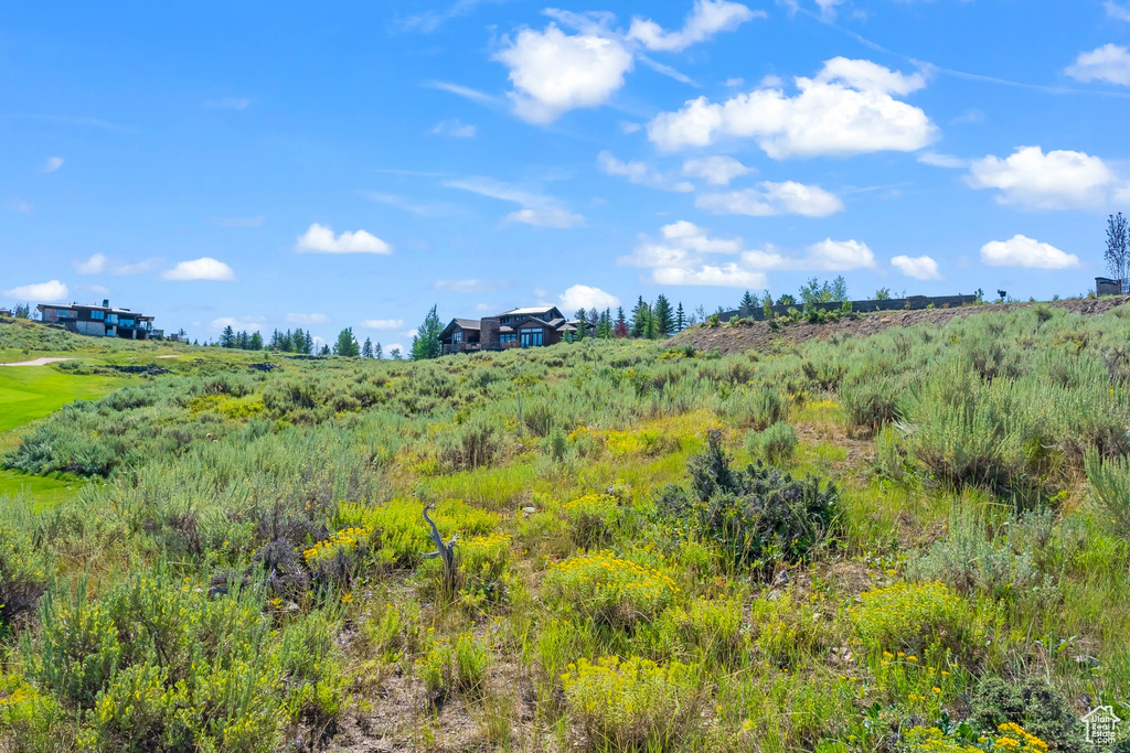 View of local wilderness