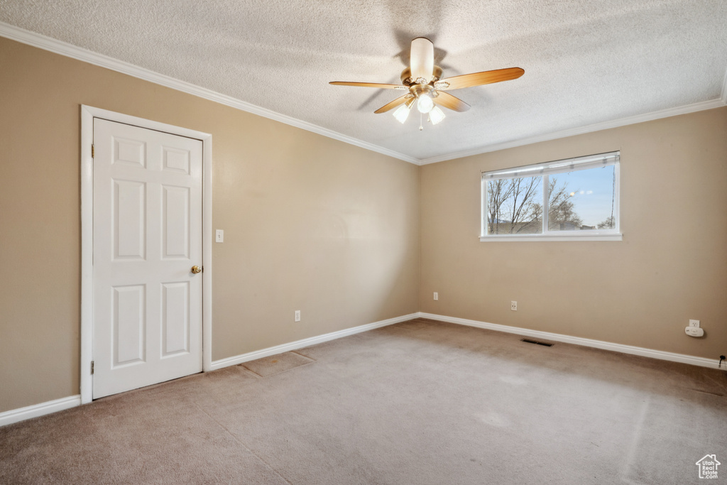 Carpeted empty room featuring ceiling fan, ornamental molding, and a textured ceiling