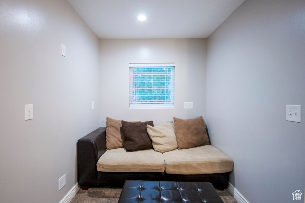 Living room with dark carpet