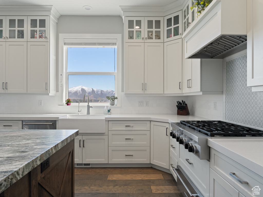 Kitchen with white cabinetry, backsplash, sink, premium range hood, and dark hardwood / wood-style flooring