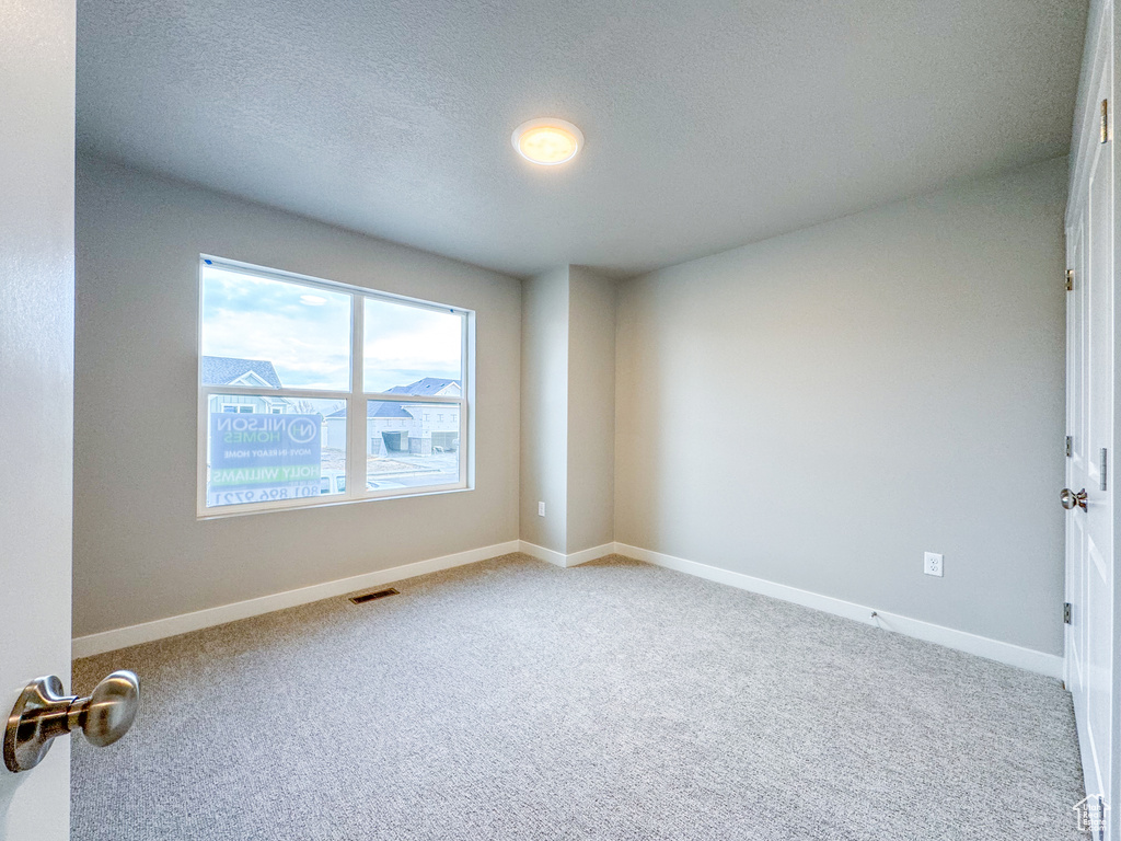 Unfurnished room featuring a textured ceiling, a wealth of natural light, and light colored carpet