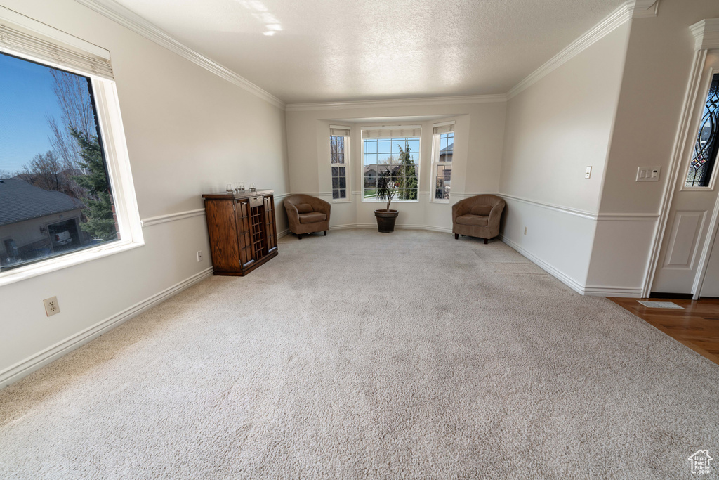 Interior space with crown molding and light colored carpet