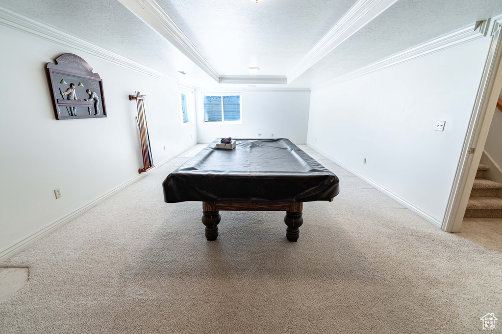 Recreation room featuring a raised ceiling, light carpet, ornamental molding, and billiards