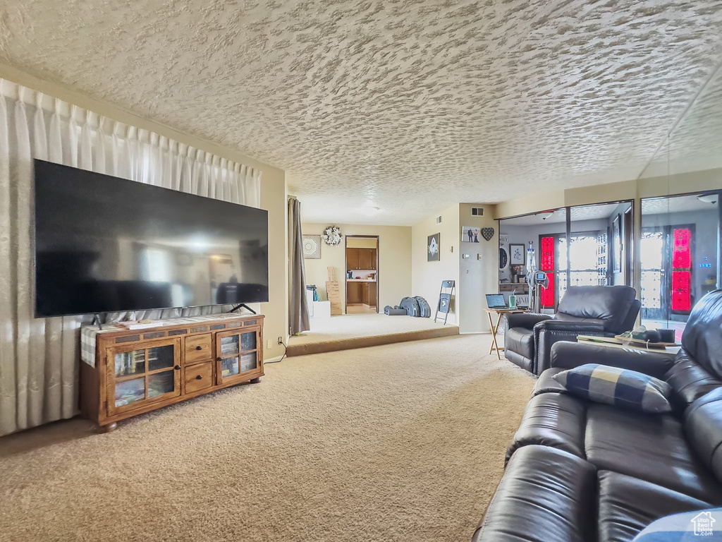 Living room featuring a textured ceiling and carpet