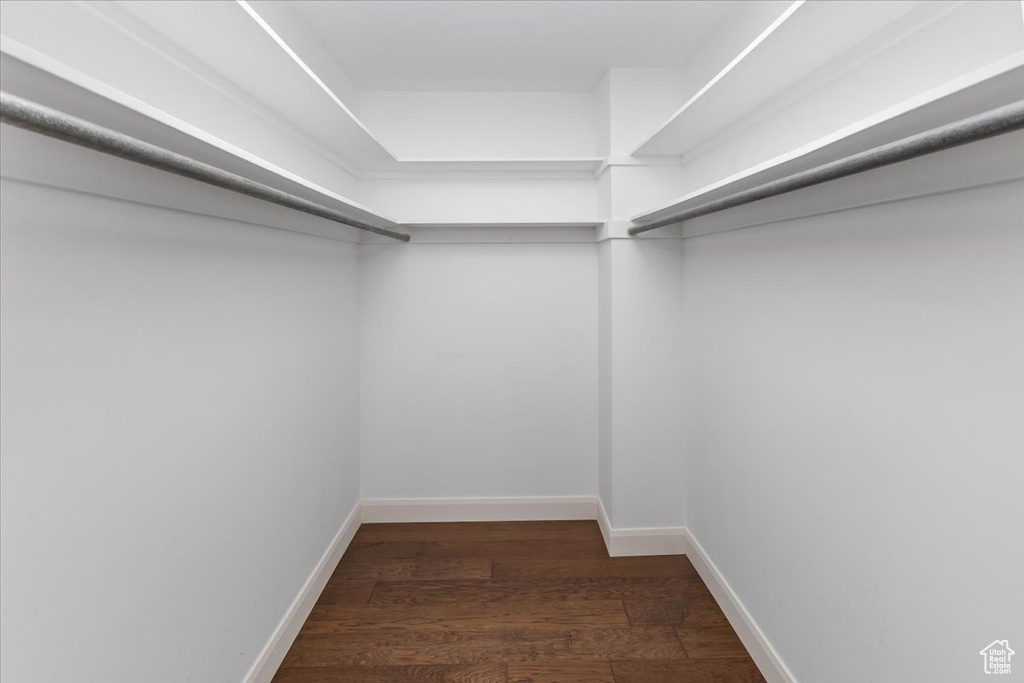 Spacious closet with dark wood-type flooring