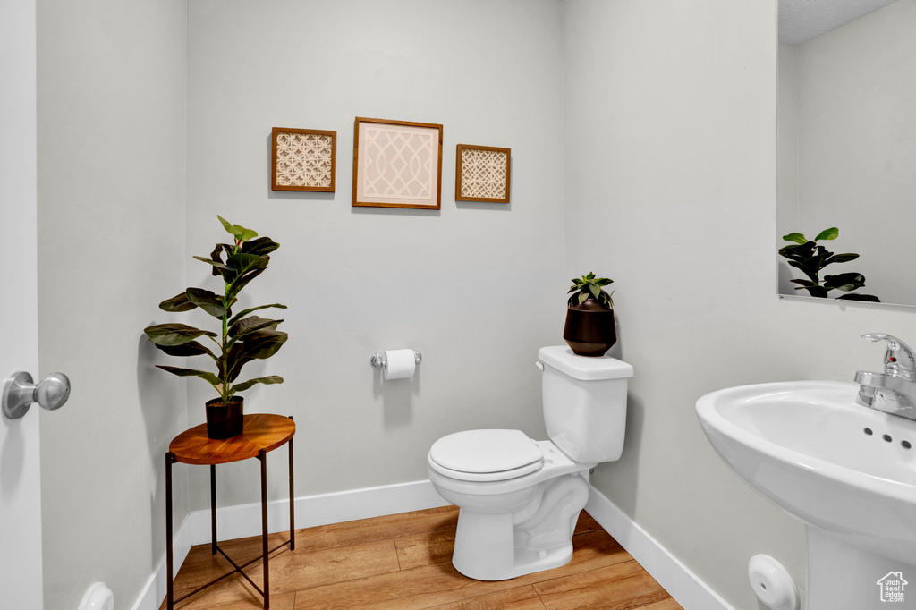 Bathroom with toilet, sink, and hardwood / wood-style flooring