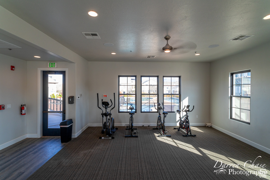 Workout room featuring ceiling fan and dark hardwood / wood-style flooring