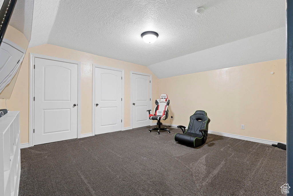 Workout room featuring carpet flooring, a textured ceiling, and vaulted ceiling