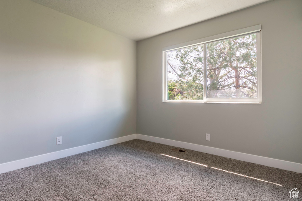 Empty room featuring carpet floors and a textured ceiling
