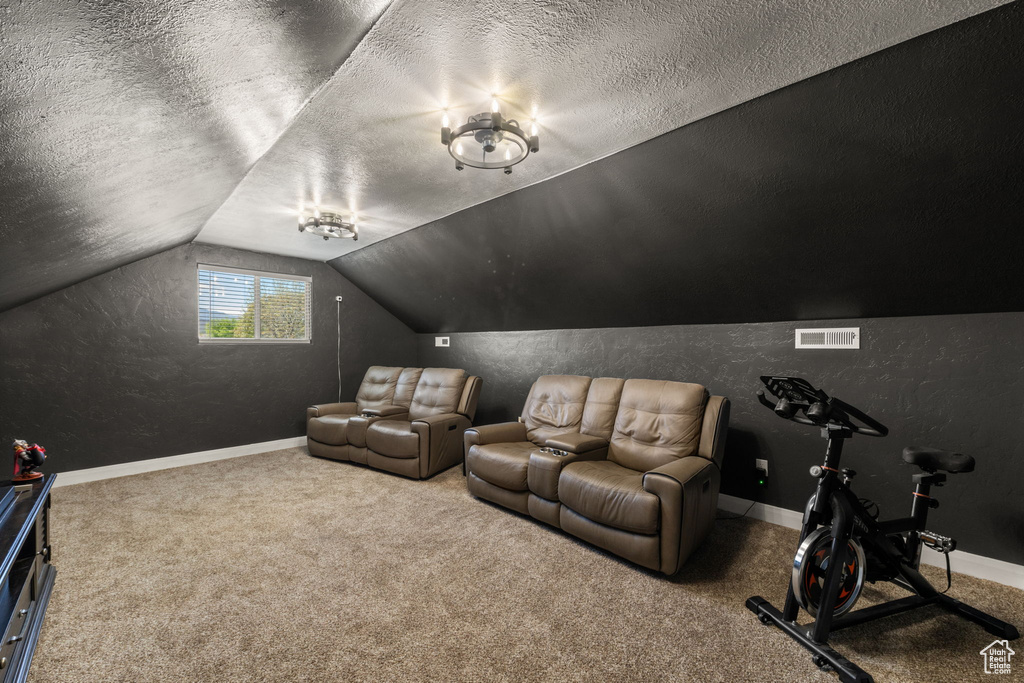 Carpeted cinema with a textured ceiling and vaulted ceiling