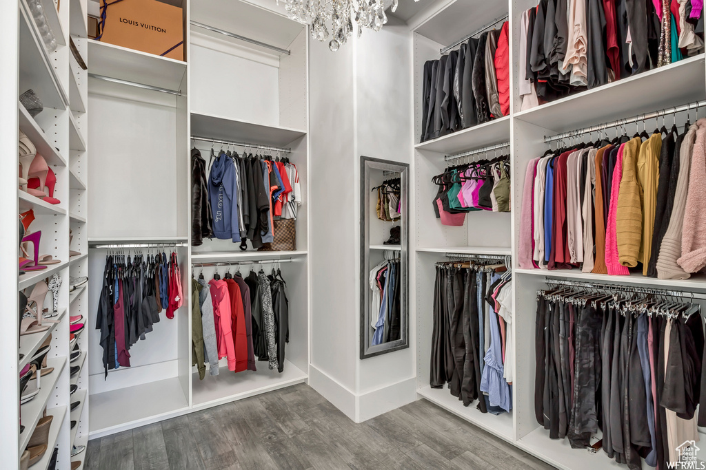 Spacious closet with dark hardwood / wood-style flooring and a chandelier