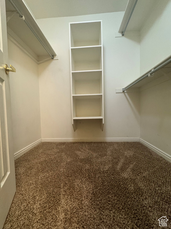 Spacious closet with carpet flooring