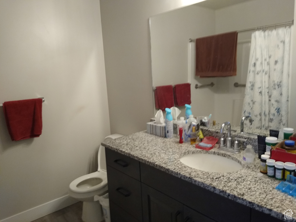 Bathroom featuring toilet and oversized vanity