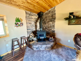 Living room with a wood stove and wooden ceiling