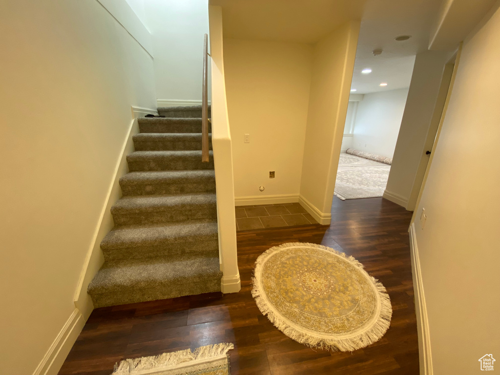Stairs with dark hardwood / wood-style flooring