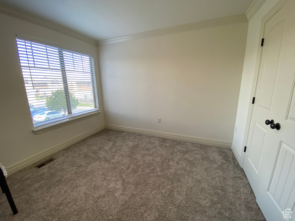 Carpeted empty room with crown molding