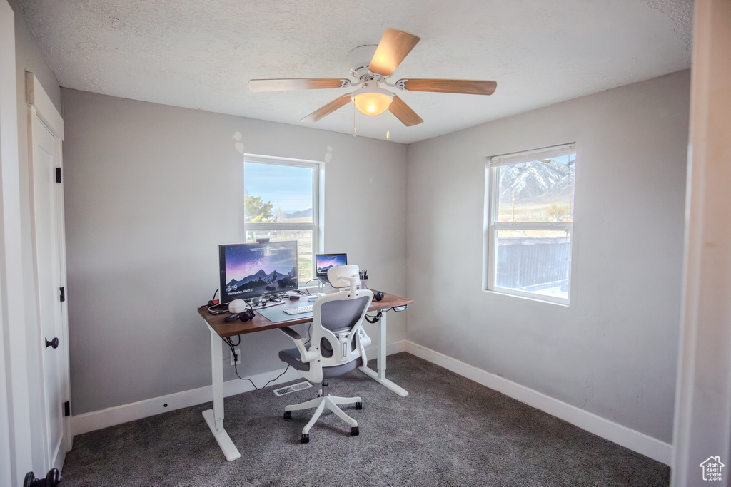 Home office with dark colored carpet, ceiling fan, and a wealth of natural light