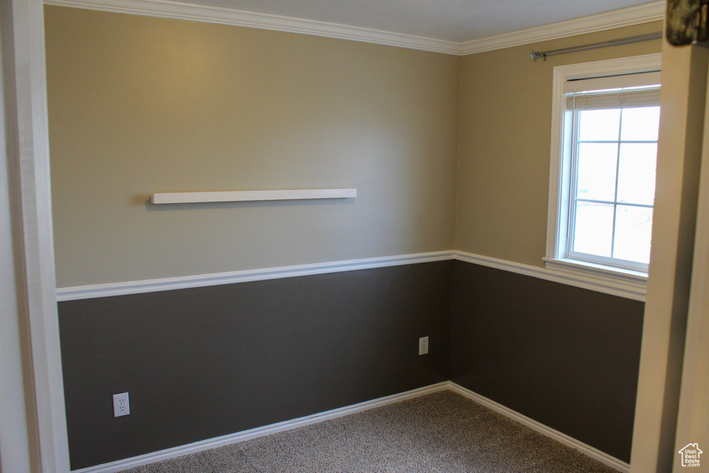 Empty room with crown molding, carpet flooring, and a healthy amount of sunlight
