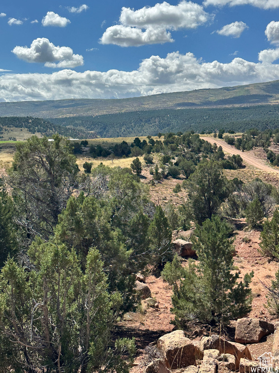 View of property view of mountains