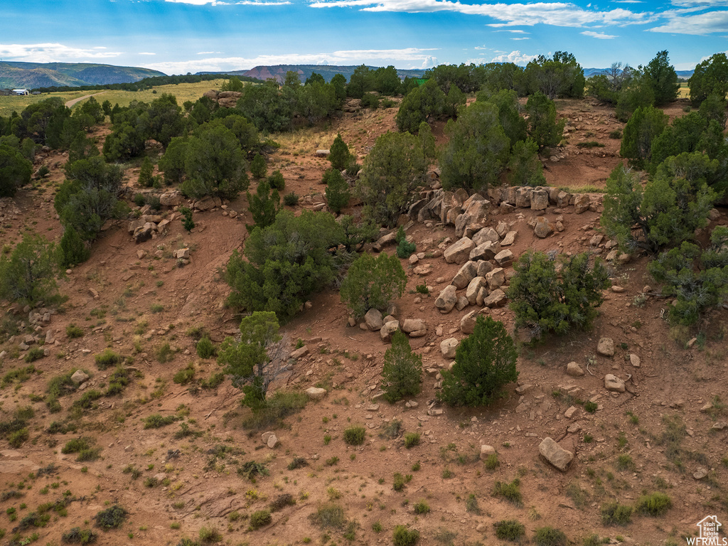 Birds eye view of property with a mountain view