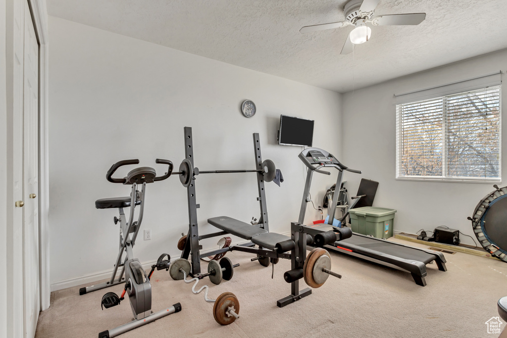 Exercise room featuring a textured ceiling, light colored carpet, and ceiling fan
