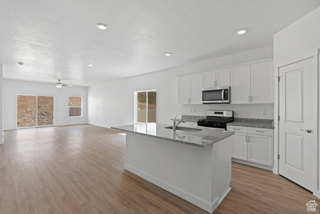 Kitchen with white cabinets, ceiling fan, light hardwood / wood-style flooring, and stainless steel appliances