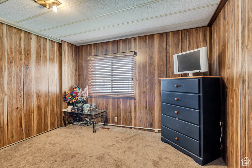 Miscellaneous room featuring wooden walls, carpet floors, and a textured ceiling