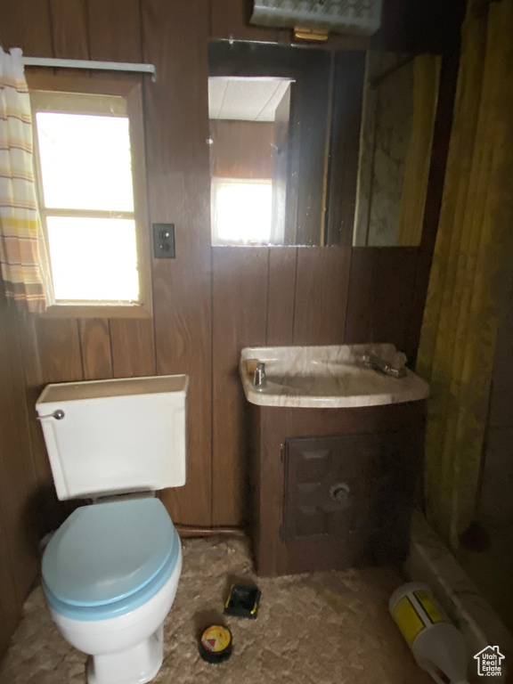 Bathroom featuring toilet, wood walls, and vanity