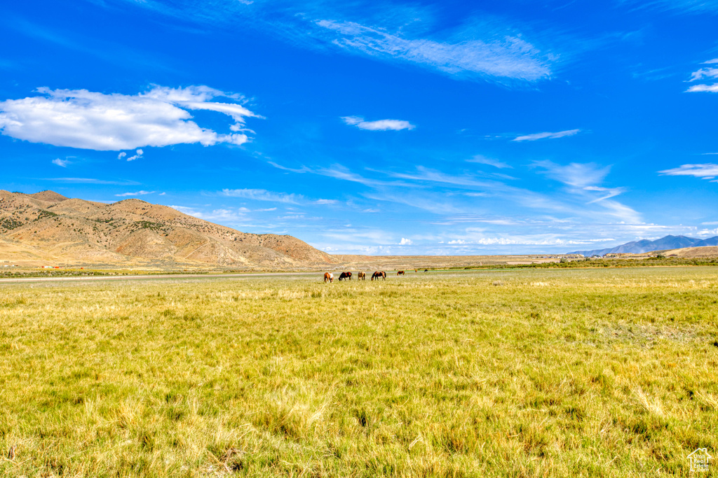 Mountain view featuring a rural view