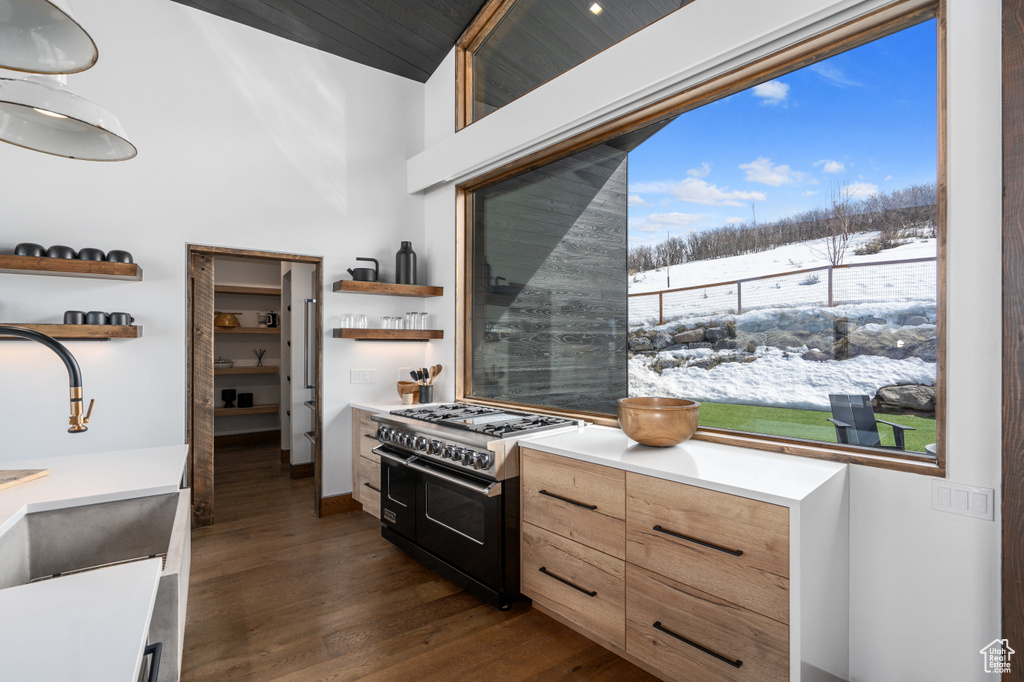 Kitchen with sink, plenty of natural light, dark hardwood / wood-style floors, and double oven range