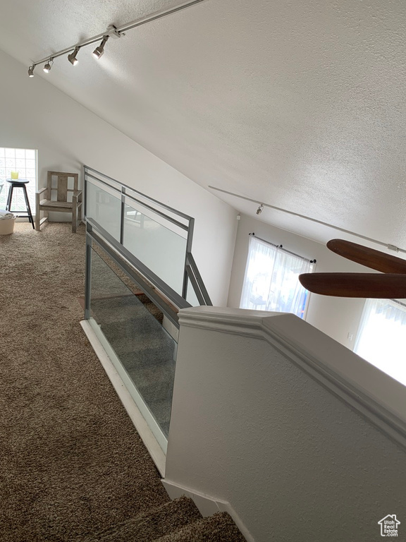 Stairway featuring ceiling fan, carpet flooring, rail lighting, and a textured ceiling
