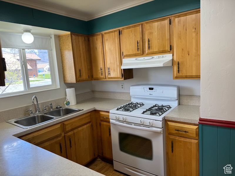 Kitchen featuring hardwood / wood-style flooring, gas range gas stove, and sink