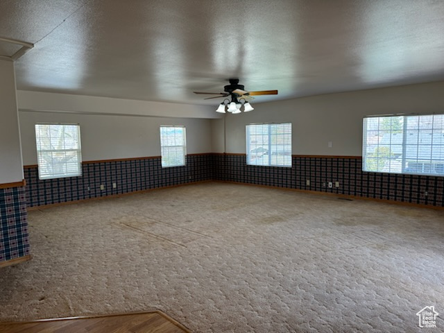Carpeted empty room with a textured ceiling, ceiling fan, and a wealth of natural light
