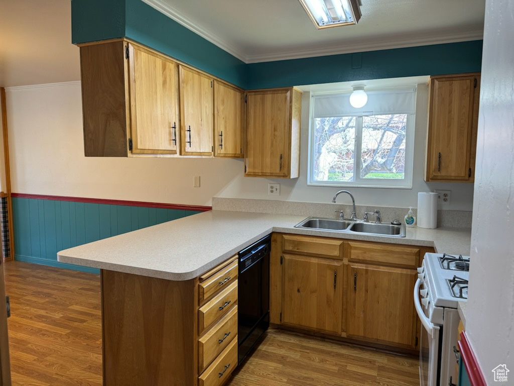 Kitchen with white range, light hardwood / wood-style floors, dishwasher, and sink
