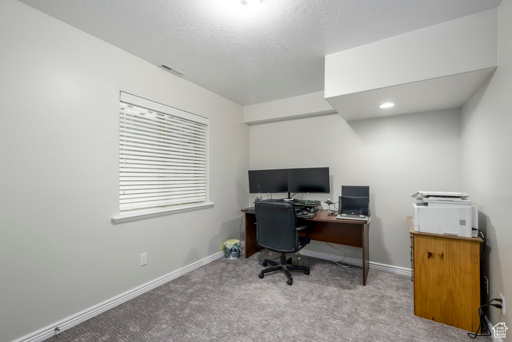 Office with light colored carpet and a textured ceiling