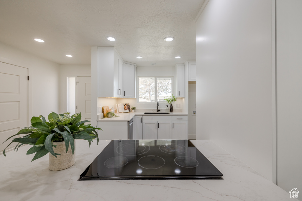 Kitchen with black electric cooktop, sink, white cabinetry, and light stone counters