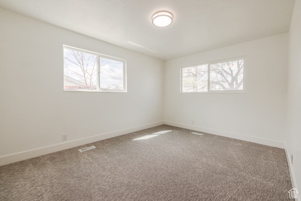 Spare room with carpet flooring and a wealth of natural light