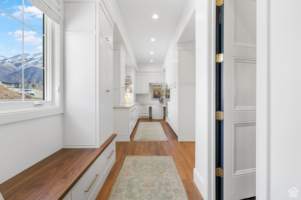 Hallway featuring light hardwood / wood-style flooring and a healthy amount of sunlight