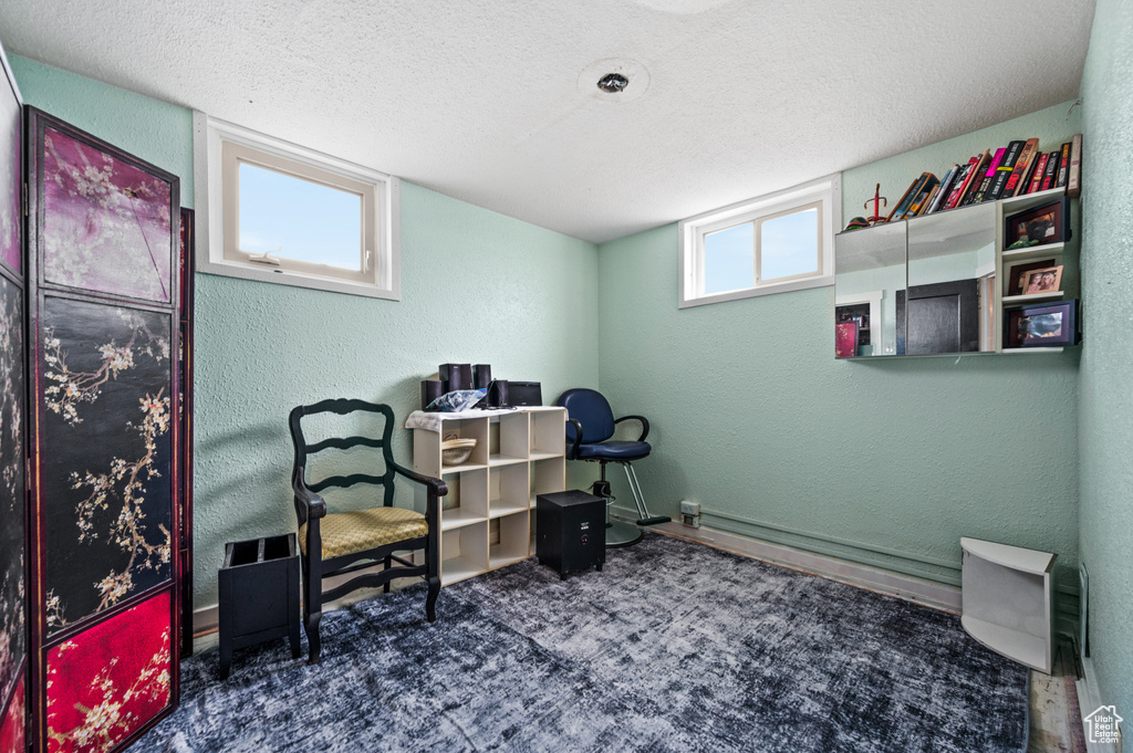 Office space with a textured ceiling and dark carpet