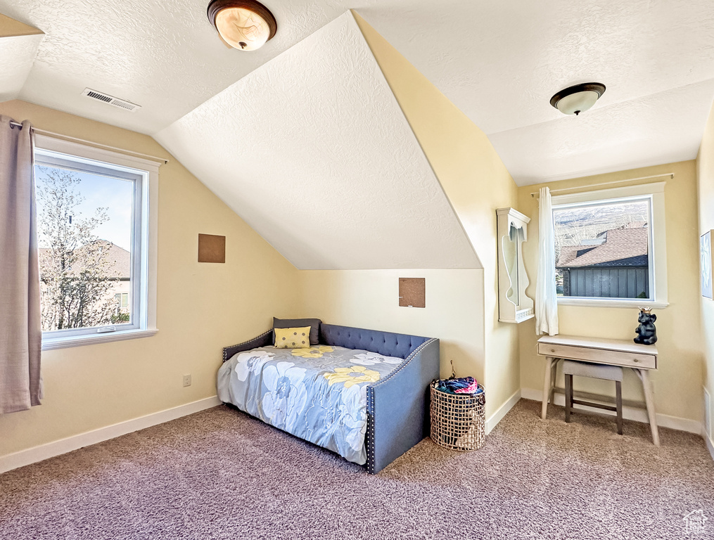 Bedroom featuring carpet, vaulted ceiling, and a textured ceiling