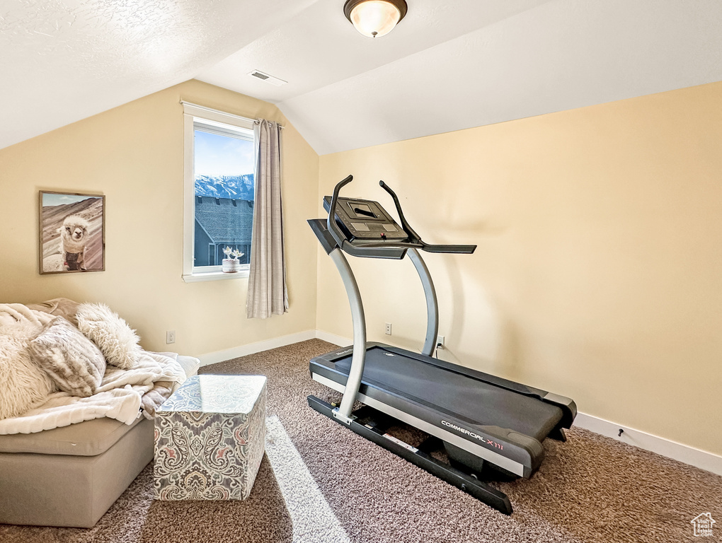 Exercise room featuring a textured ceiling, lofted ceiling, and dark carpet