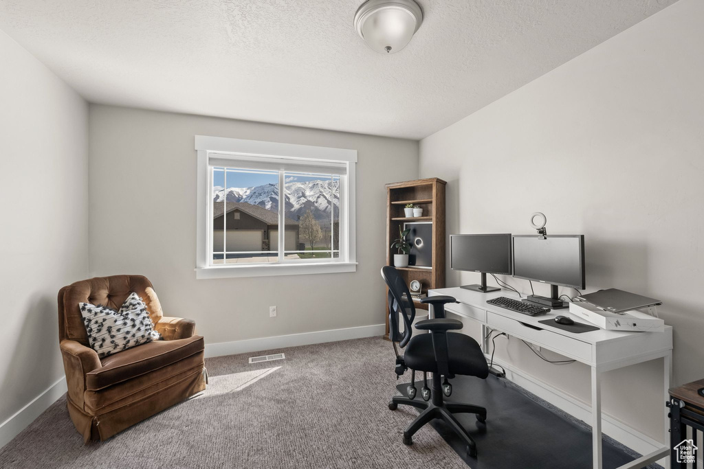 Office with carpet and a textured ceiling