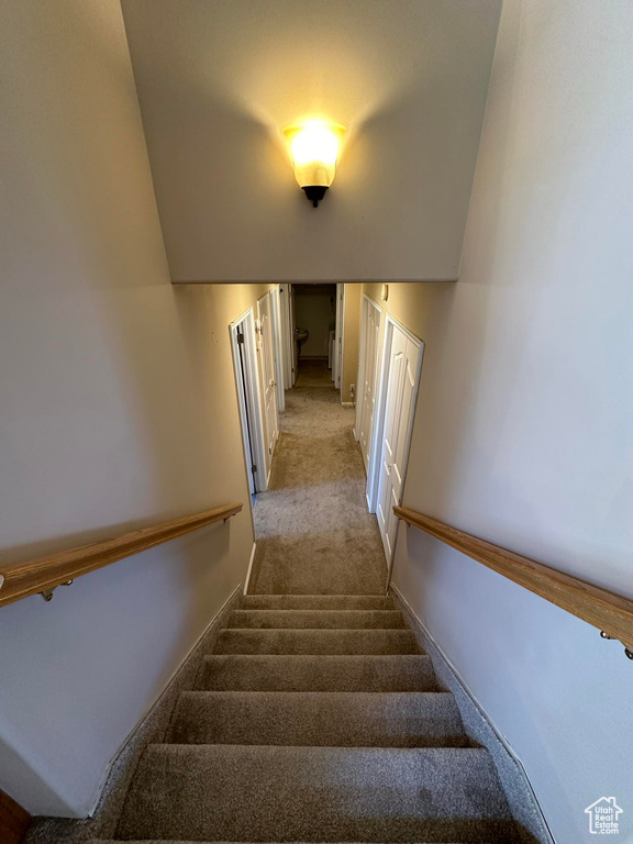 Stairs with light colored carpet