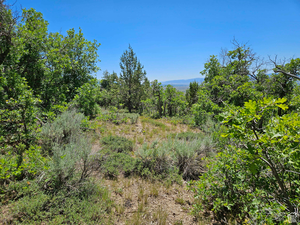 View of landscape