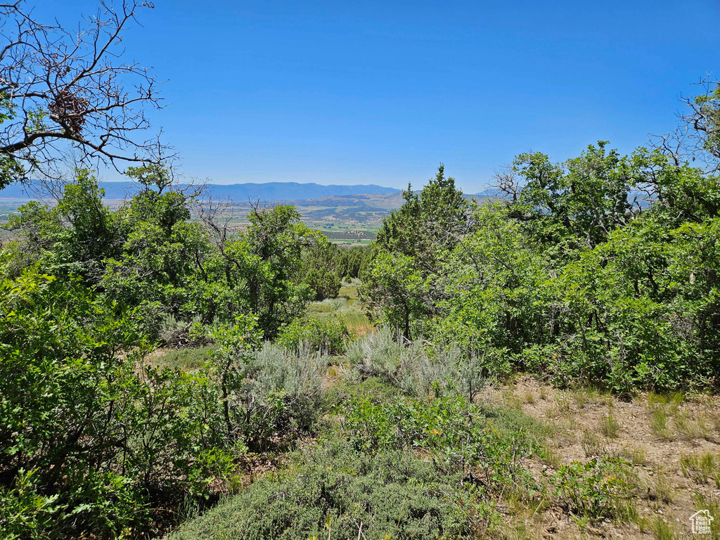 View of mountain feature