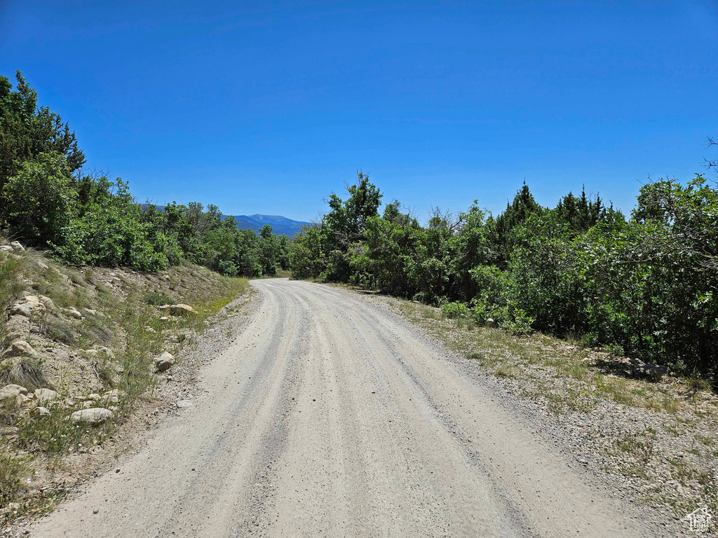 View of road