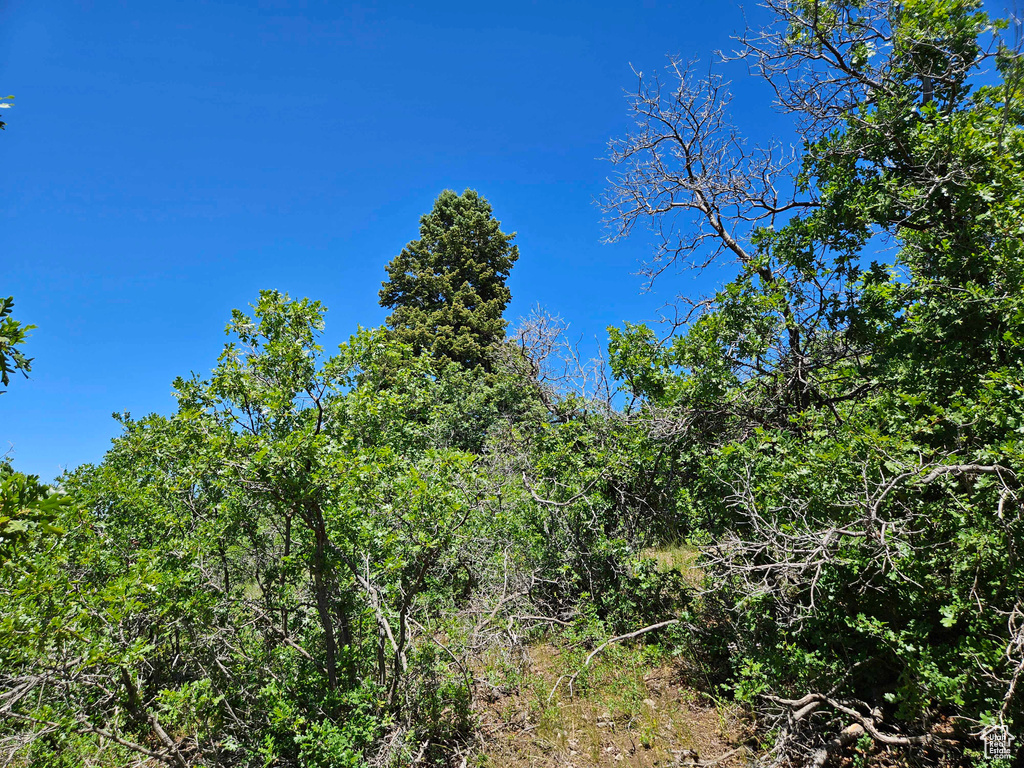 View of landscape