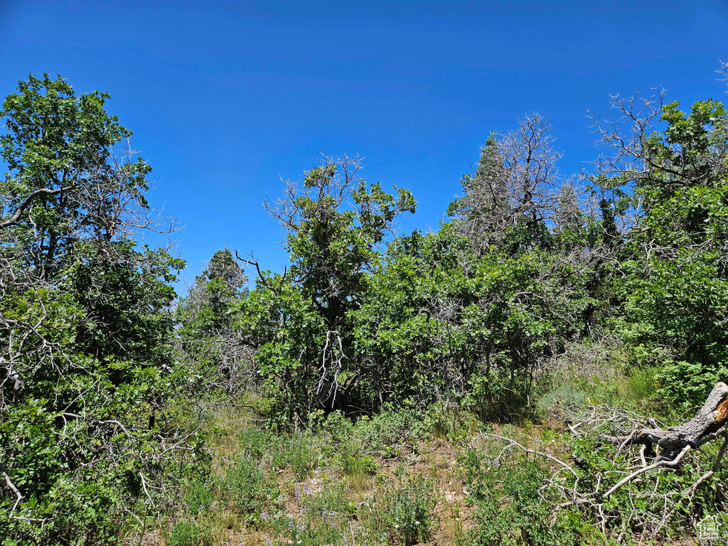 View of landscape